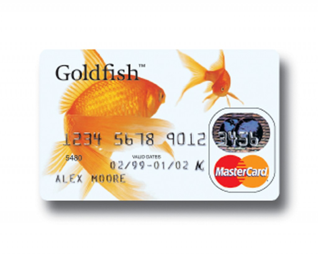 1600X1280GOLDFISH
